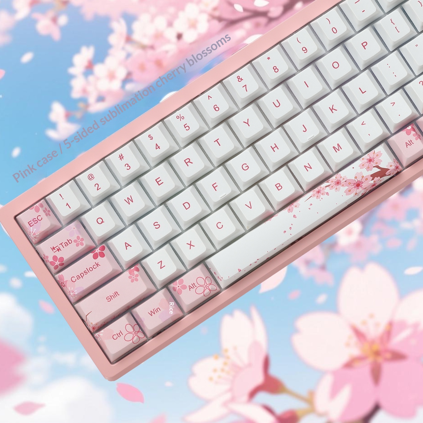 Everglide AE68 Pro Gaming Keyb - Gaming Keyboard Expensive review and price